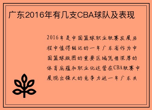 广东2016年有几支CBA球队及表现