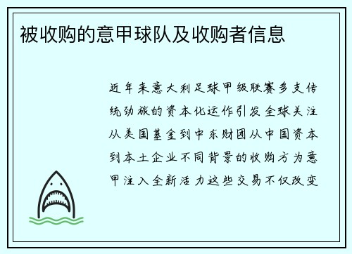 被收购的意甲球队及收购者信息
